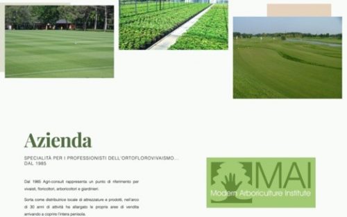 Screenshot Agri Consult.it 3