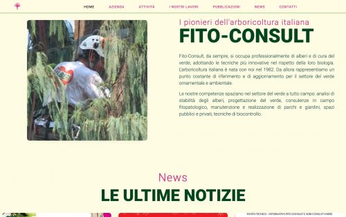 Screenshot Fito Consult.it 2