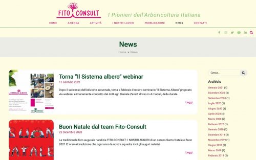 Screenshot Fito Consult.it News