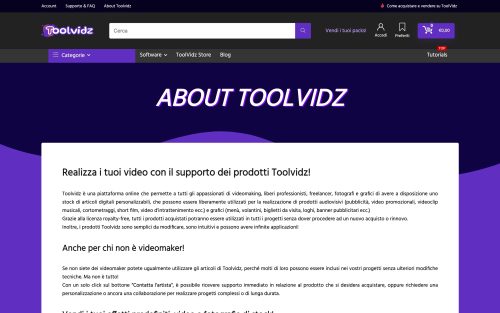 www.toolvidz.com about toolvidz (screenshot desktop)