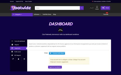 www.toolvidz.com dashboard settings payment (screenshot desktop)