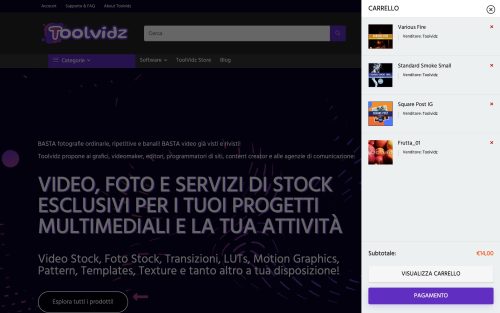 www.toolvidz.com (screenshot desktop) (5)